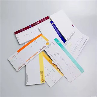 Go Flight Boarding Pass